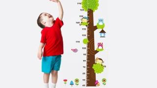 Chiều Cao Cân Nặng Bé Trai 3 Tuổi Chuẩn Mẹ Nên Biết