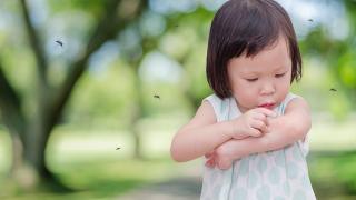 Sốt Xuất Huyết Ở Trẻ Em: Nguyên Tắc Chăm Sóc Cần Nhớ