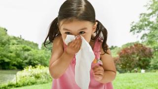 Viêm Mũi Dị Ứng Ở Trẻ Em: Chăm Sóc Và Phòng Ngừa
