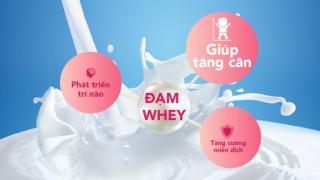 Sữa Tăng Cân Cho Trẻ Sơ Sinh Tại Sao Cần Có Đạm Whey