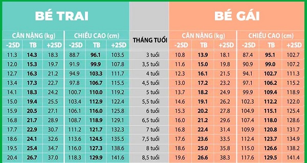Bảng Chiều Cao Cân Nặng Bé Trai 5 Tuổi Đạt Chuẩn Mẹ Nên Biết