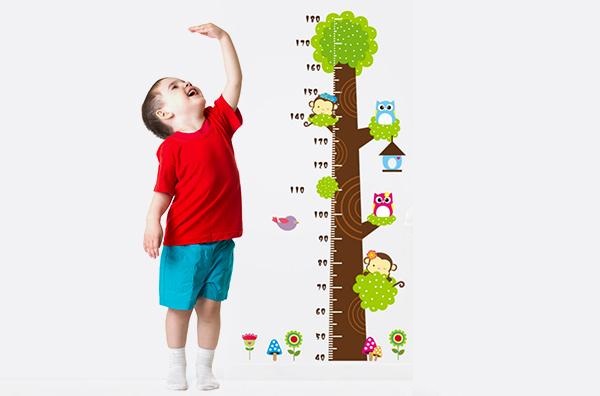 Chiều Cao Cân Nặng Bé Trai 3 Tuổi Chuẩn Mẹ Nên Biết