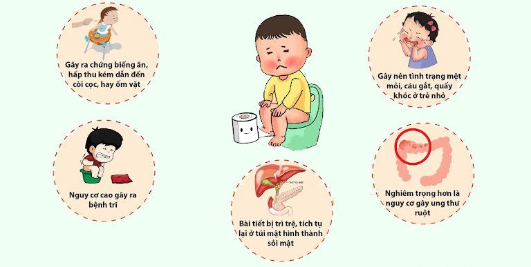 Truy Tìm Đáp Án: Sữa Nào Mát Không Táo Bón Cho Trẻ?