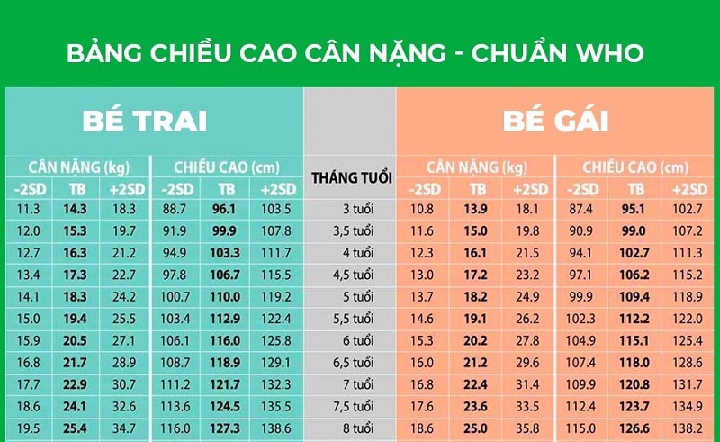 Cách Đạt Chuẩn Chiều Cao Cân Nặng Bé Trai 4 Tuổi
