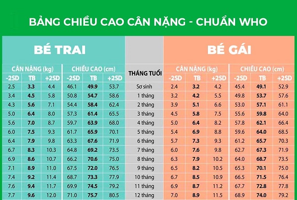 Chiều Cao Cân Nặng Trẻ Sơ Sinh Giúp Mẹ Chăm Bé Đúng Chuẩn