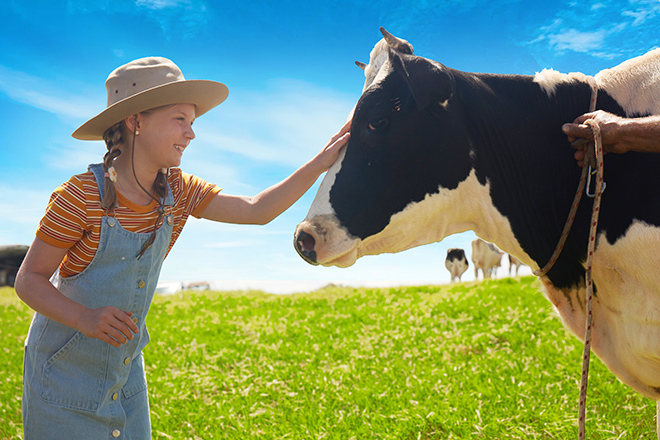Sữa Nhập Khẩu Từ Newzealand Có Những Ưu Điểm Gì?