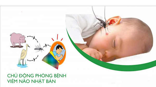 Bệnh Viêm Não Nhật Bản Ở Trẻ Em Và Điều Cần Biết