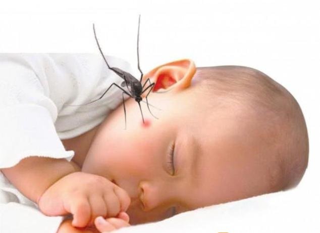 Sốt Xuất Huyết Ở Trẻ Em: Nguyên Tắc Chăm Sóc Cần Nhớ