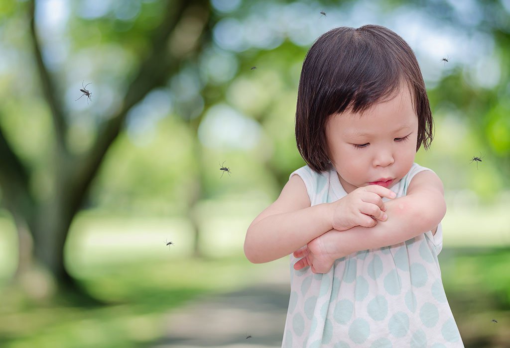 Sốt Xuất Huyết Ở Trẻ Em: Nguyên Tắc Chăm Sóc Cần Nhớ