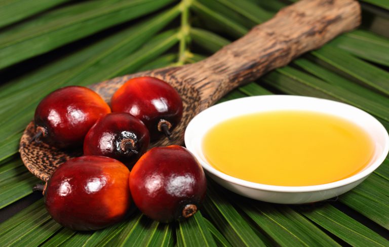 Sữa Công Thức Cho Trẻ 6 Tháng Tuổi Chứa Dầu Cọ Có Sao Không?