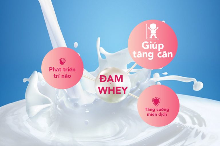 Sữa Tăng Cân Cho Trẻ Sơ Sinh Tại Sao Cần Có Đạm Whey
