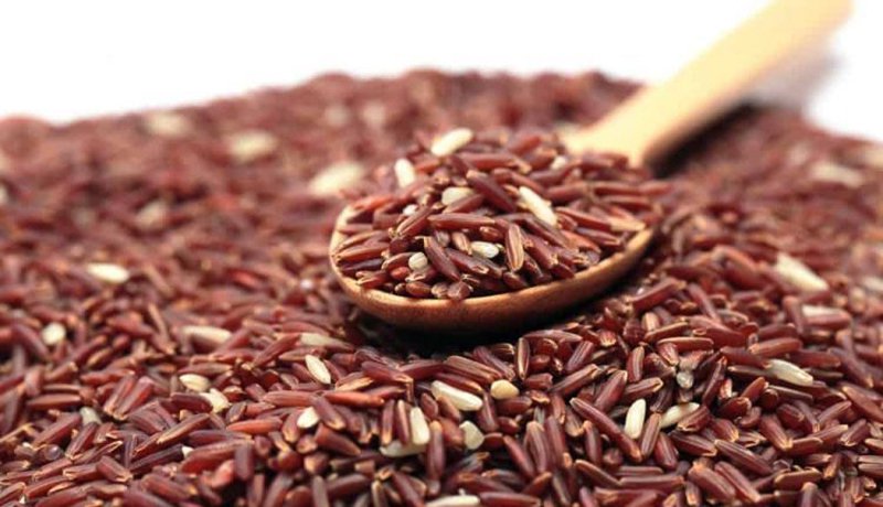 sữa tốt cho trẻ sơ sinh