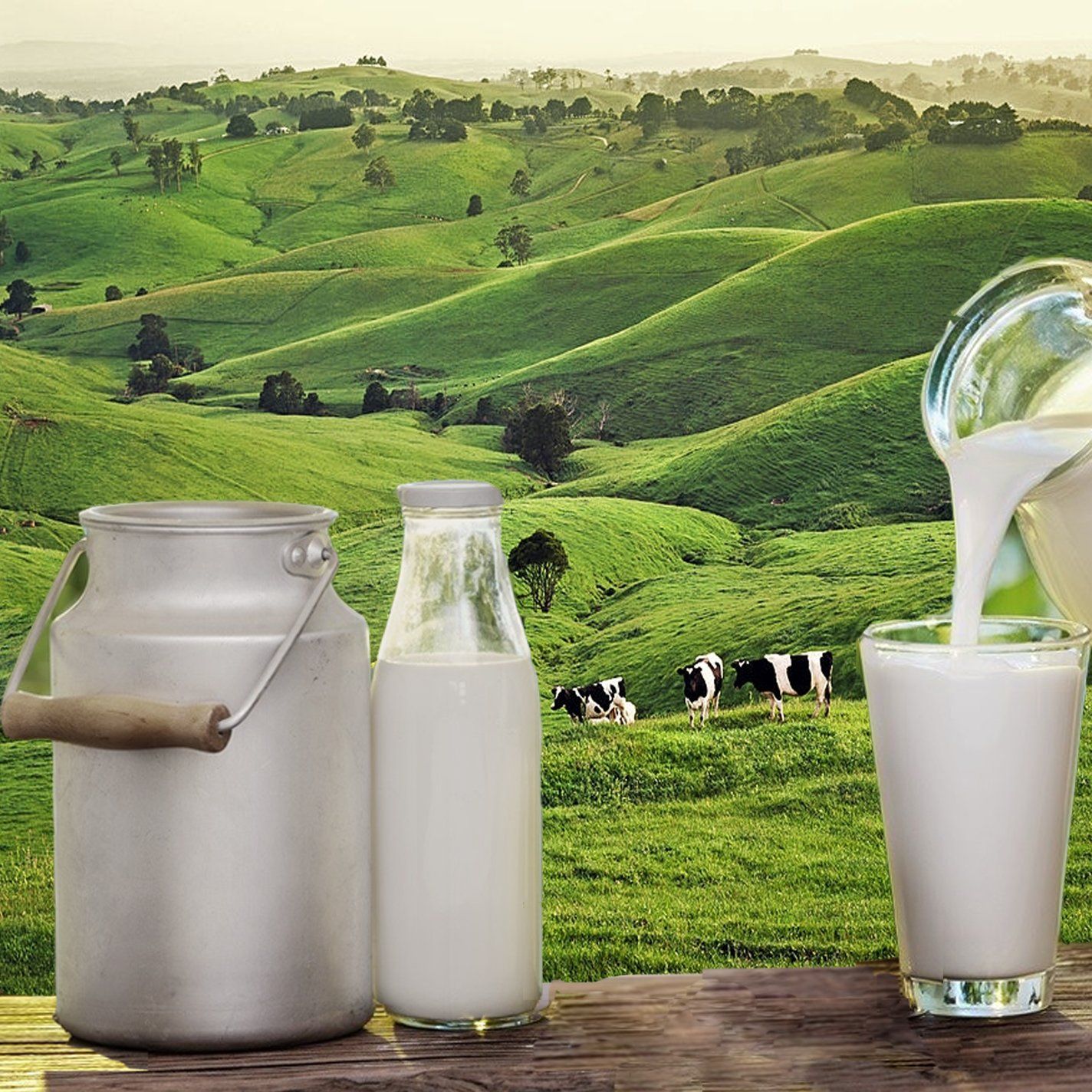 Sữa New Zealand - Những điều đặc biệt tạo nên sự khác biệt