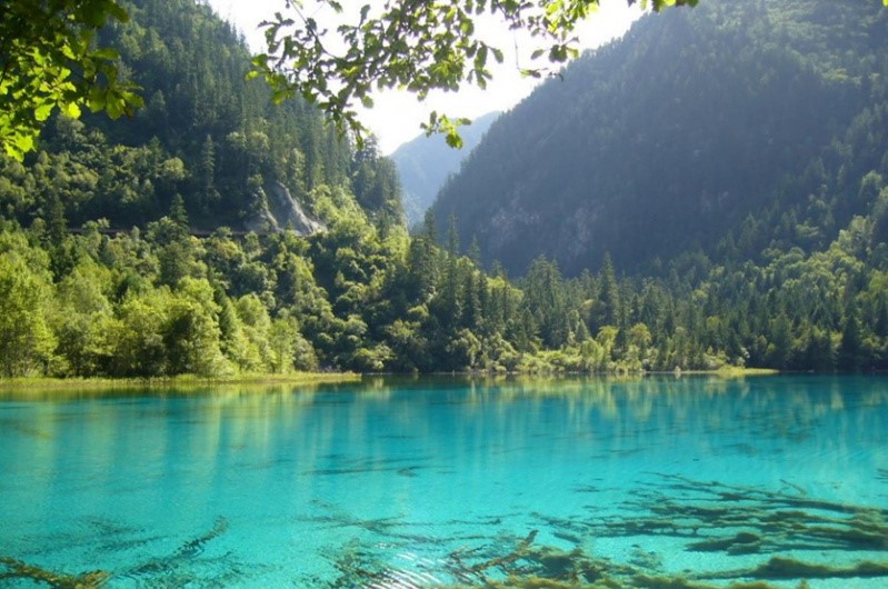 sữa New Zealand