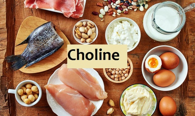 sữa phát triển trí não