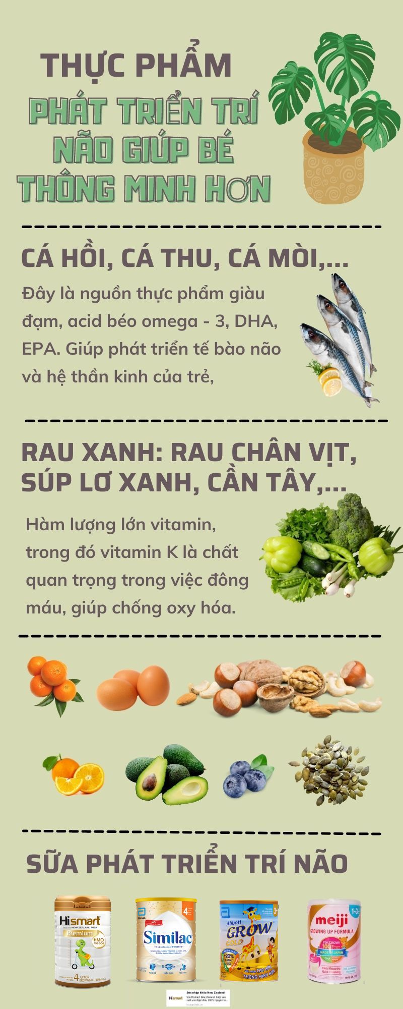 Thực phẩm phát triển trí não giúp bé thông minh hơn