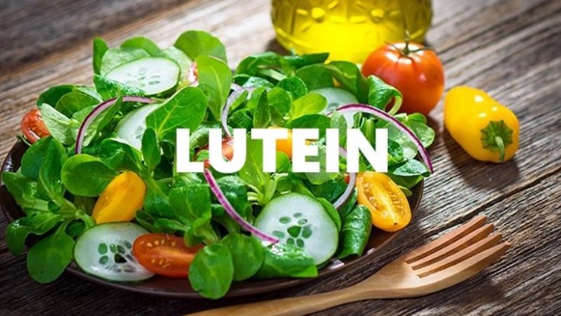sữa phát triển trí não