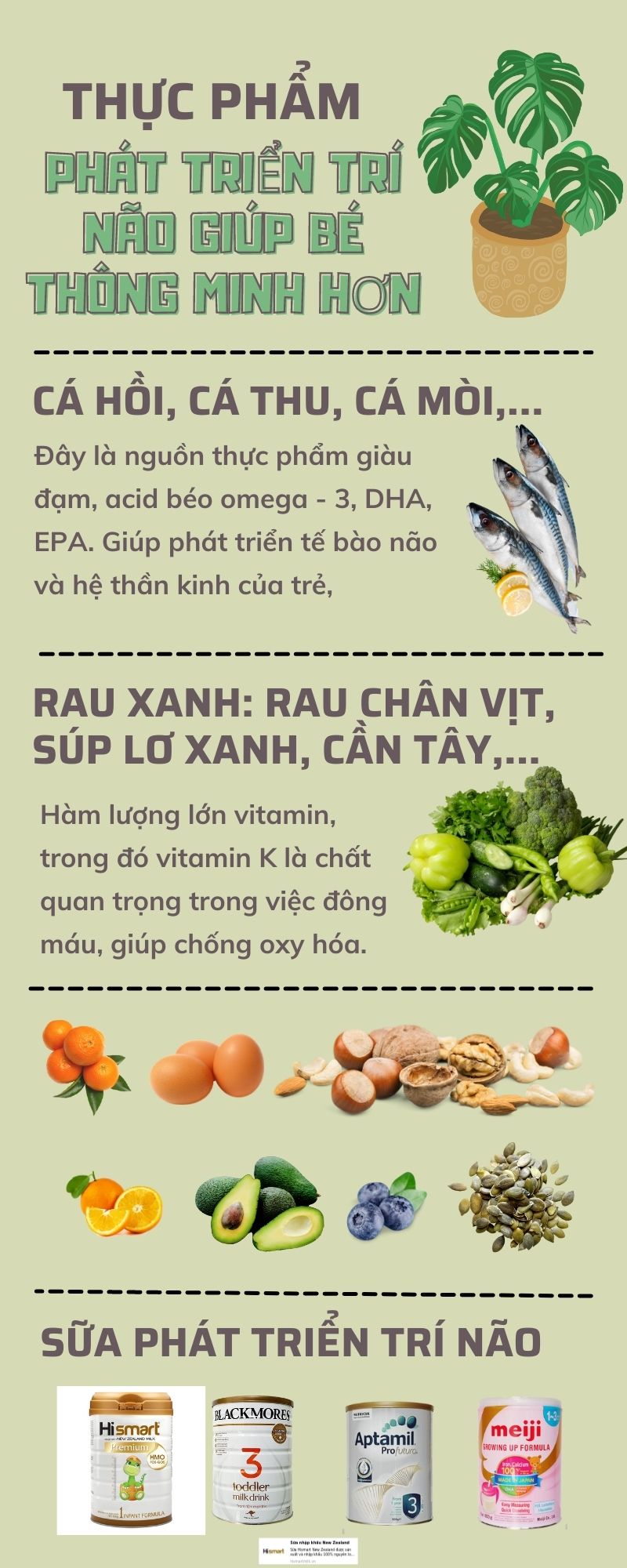 Thực phẩm phát triển trí não giúp bé thông minh hơn
