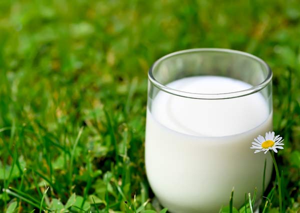 Sữa Tăng Chiều Cao Cho Bé Có Nên Dùng Hay Không?
