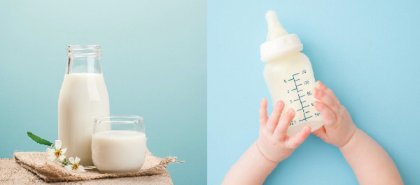 Uống Sữa Gì Để Tăng Chiều Cao - Sữa Tươi Hay Sữa Bột?