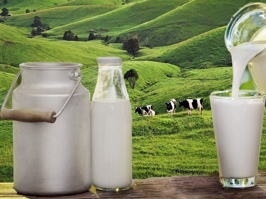 sữa New Zealand